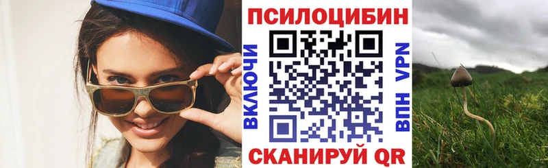 Псилоцибиновые грибы Cubensis  магазин продажи наркотиков  blacksprut tor  Нижний Тагил 