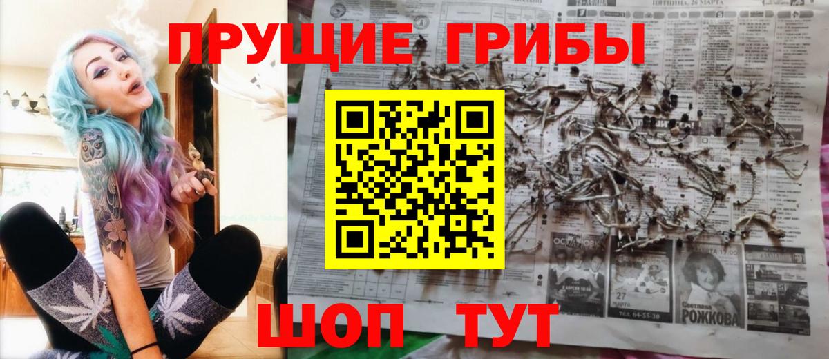 Галлюциногенные грибы Psilocybine cubensis Нижний Тагил