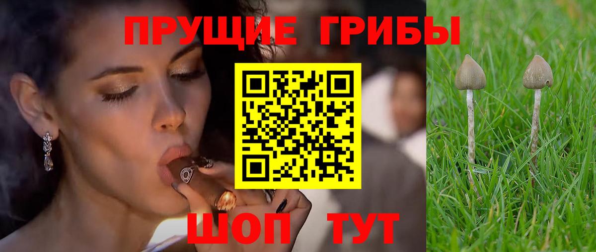 Нижний Тагил  Псилоцибиновые грибы ЛСД  Вход с VPN 